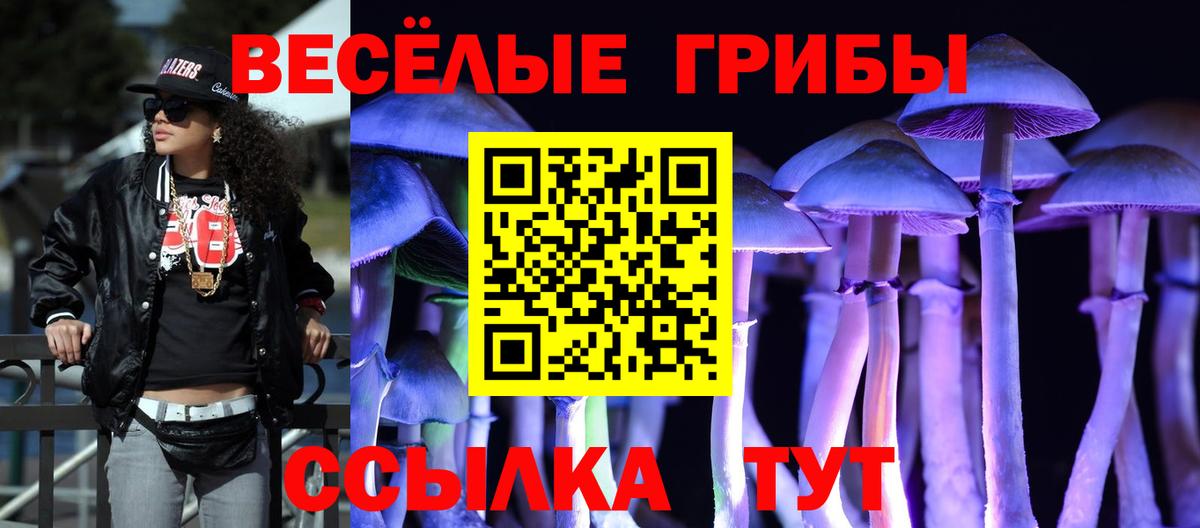 Галлюциногенные грибы мицелий Тамбов
